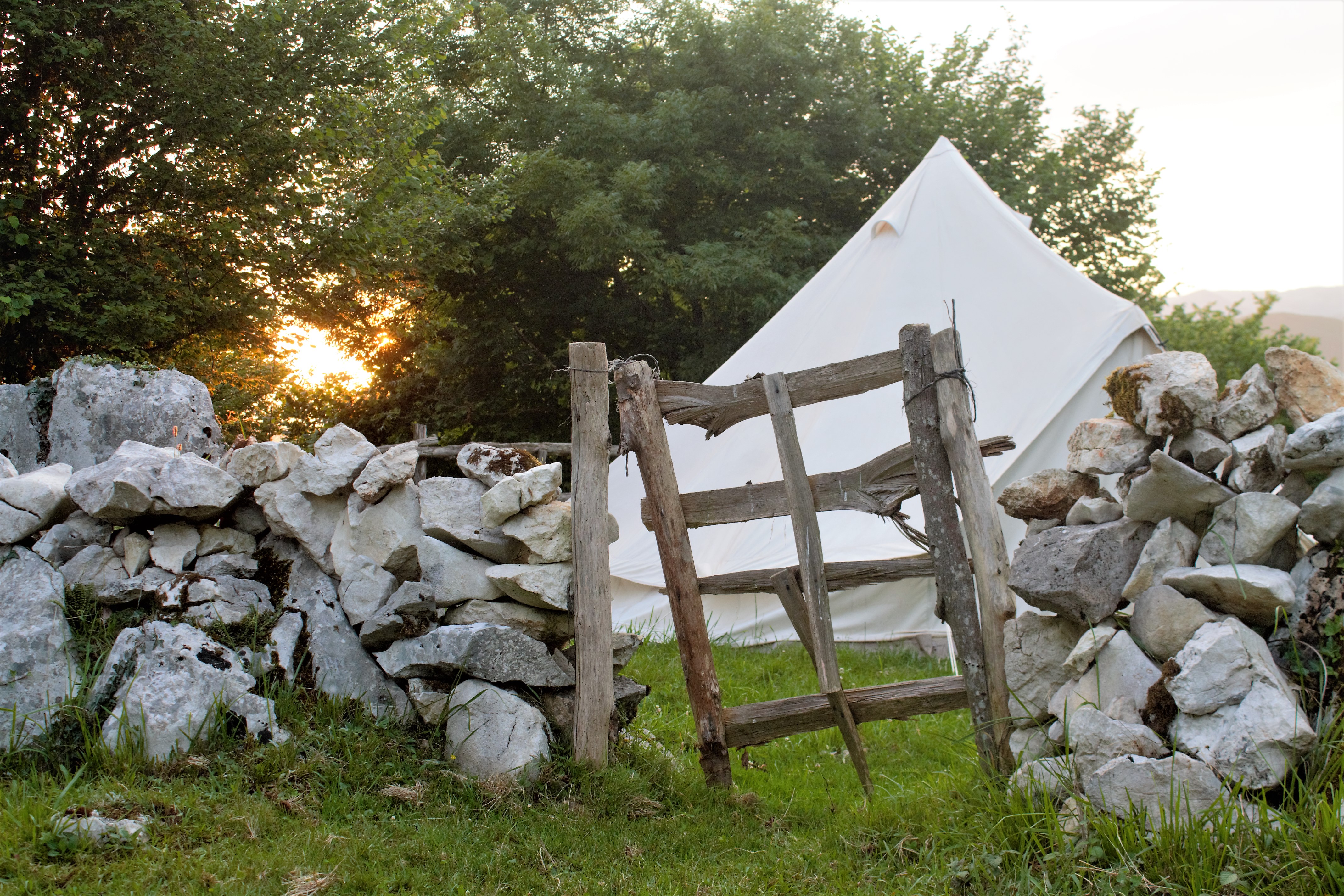 Read more about the article Two months in a bell tent – a simple life in nature (by Claudia)